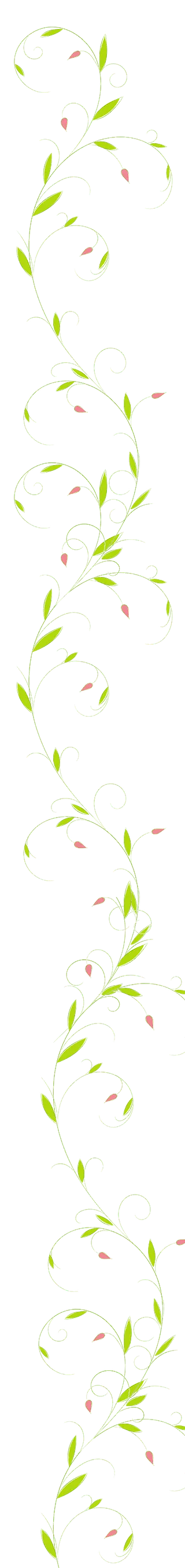 Ranke 