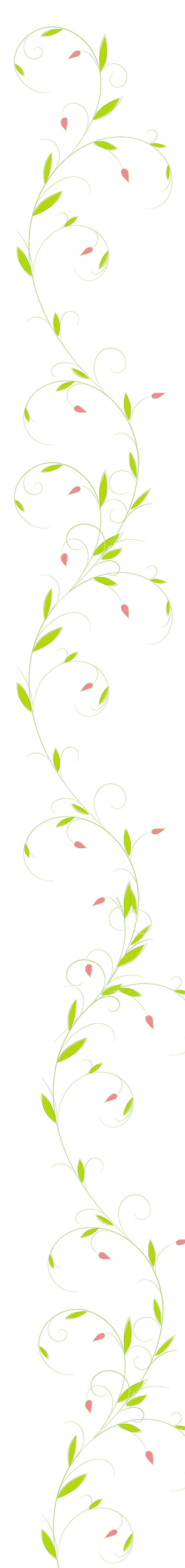 Ranke 